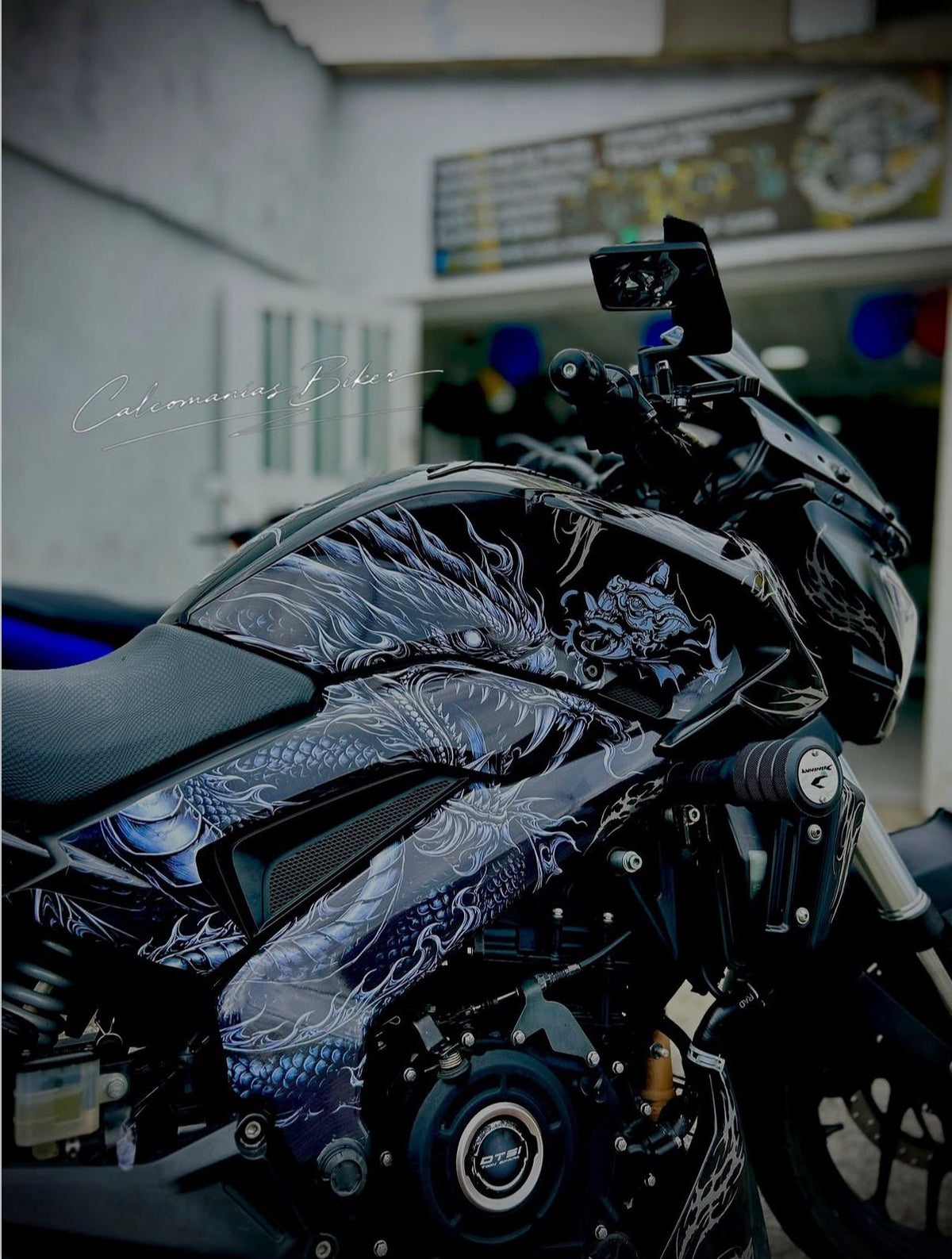 Dominar 250